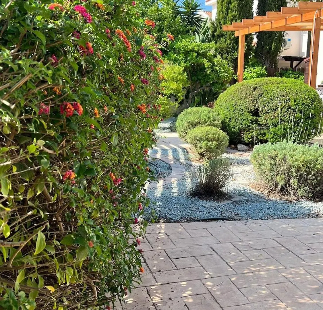 Villa Porta Aurea Agia Napa